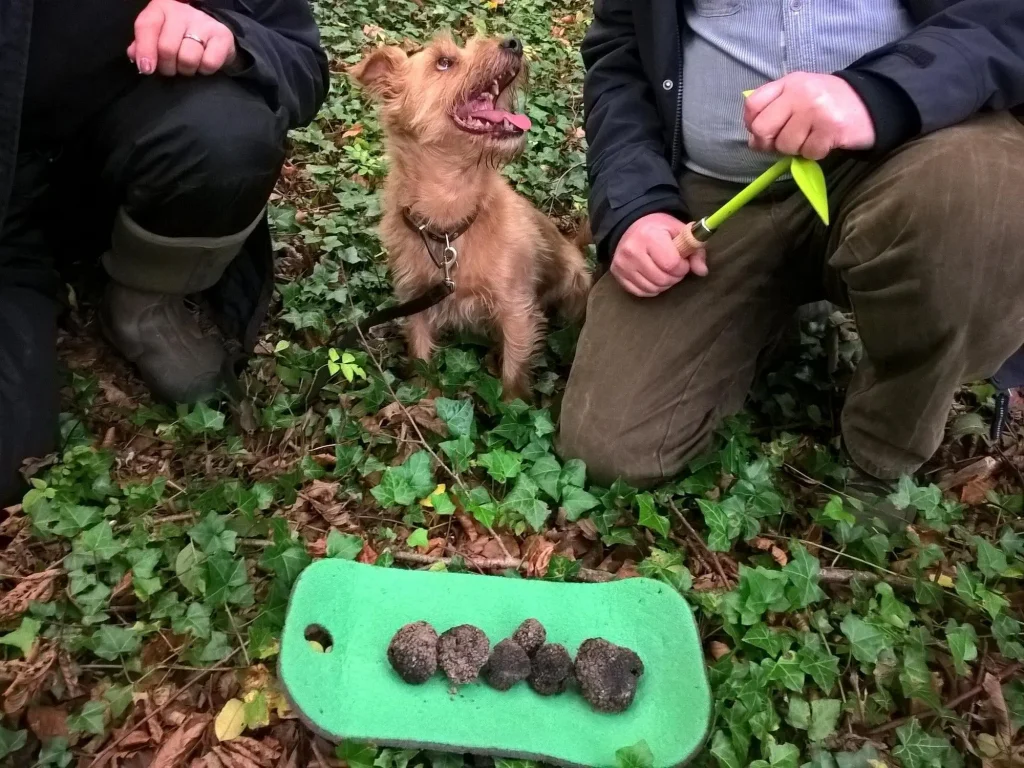 Woodland Lesson - Chas with truffles