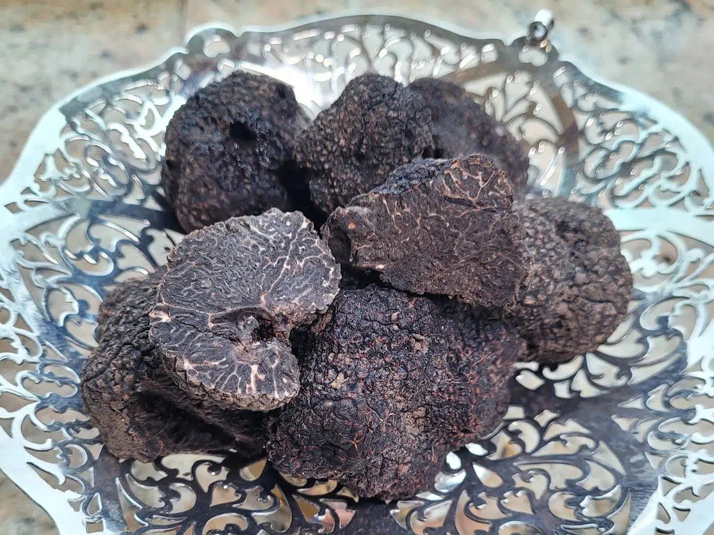 Périgord truffles found in a truffle orchard in the Surrey Hills AONB.