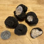 West London Chiswick truffle find