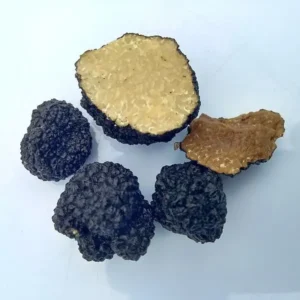 Dog training truffles
