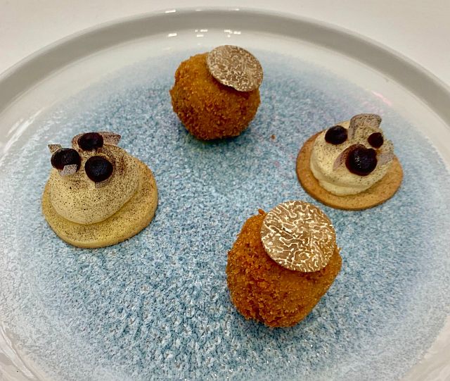 Our truffles in the Young National Chef of the Year (YNCOTY) competition.
