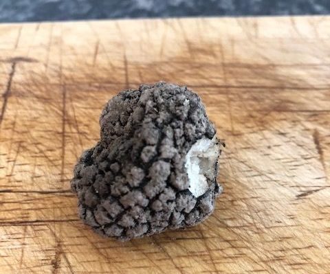 Unripe summer truffle - mid May