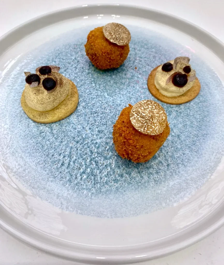 Young National Chef of the Year competition final - mushroom arancini with a black truffle mayonnaise .