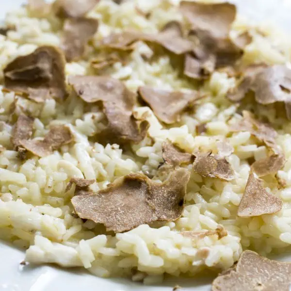 Shaved sliced truffle on a risotto shaver slicer