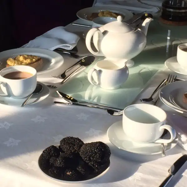 Afternoon tea on one of our truffle hunts - truffle hunting experience day gift vouchers