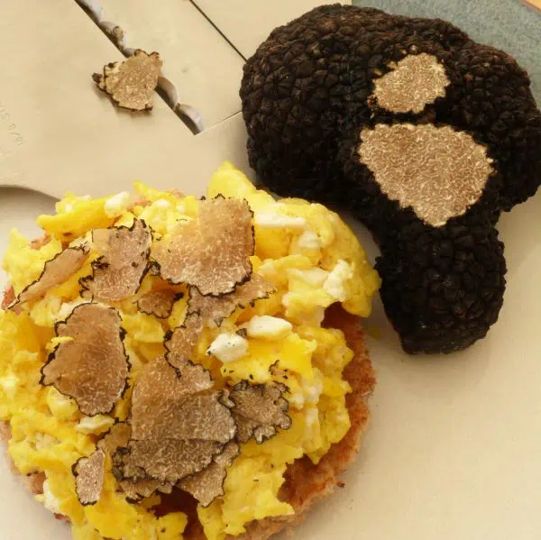 Scrambled egg with freshly shaved English truffle.
