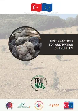 Best Practices for Cultivation of Truffles