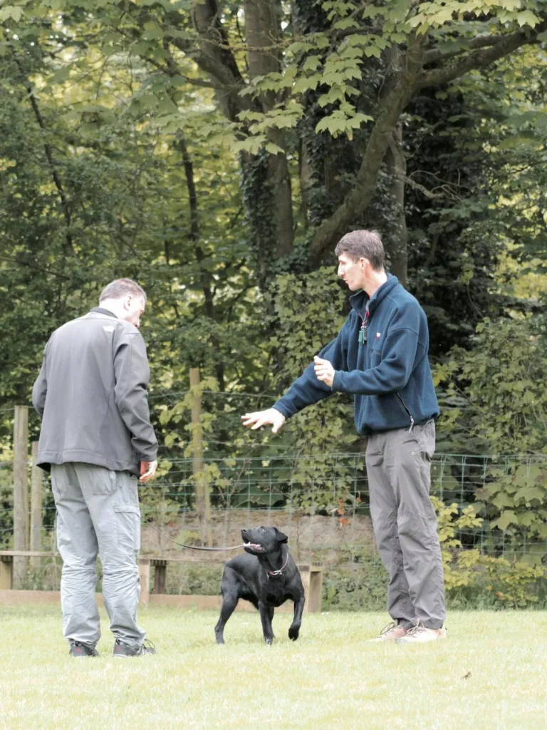 Labrador and handler receiving instructions