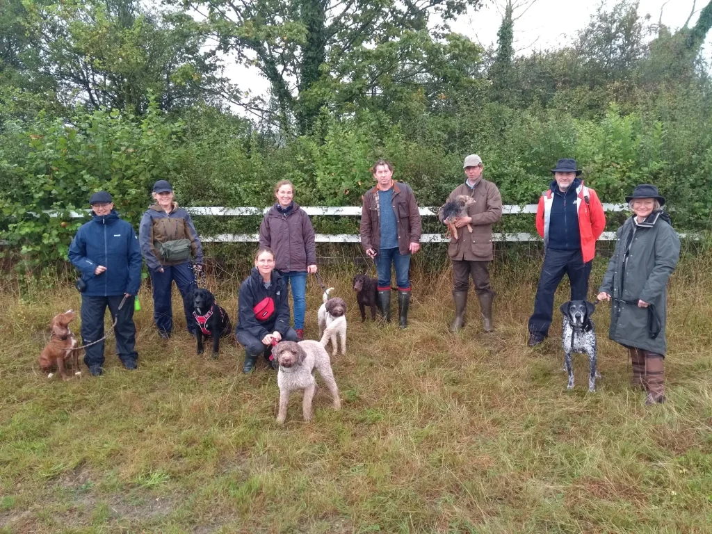 Workshop - A Yeovil group of dogs and handlers