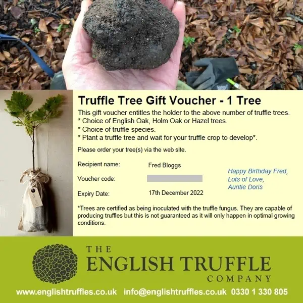 truffle tree gift voucher