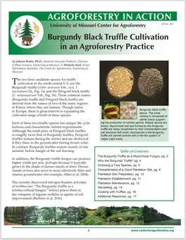 Burgundy Black Truffle Cultivation in an Agroforestry Practice