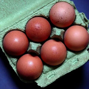 Truffled Eggs