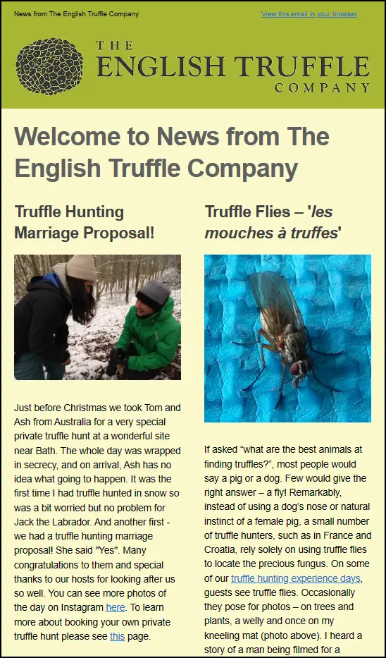 example of a e-newsletter from The English Truffle Company