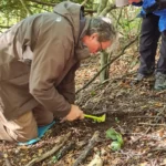 Excavating a truffle on a truffle hunting day