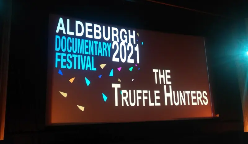 The Truffle Hunters film at the Aldeburgh Documentary Film Festiva
