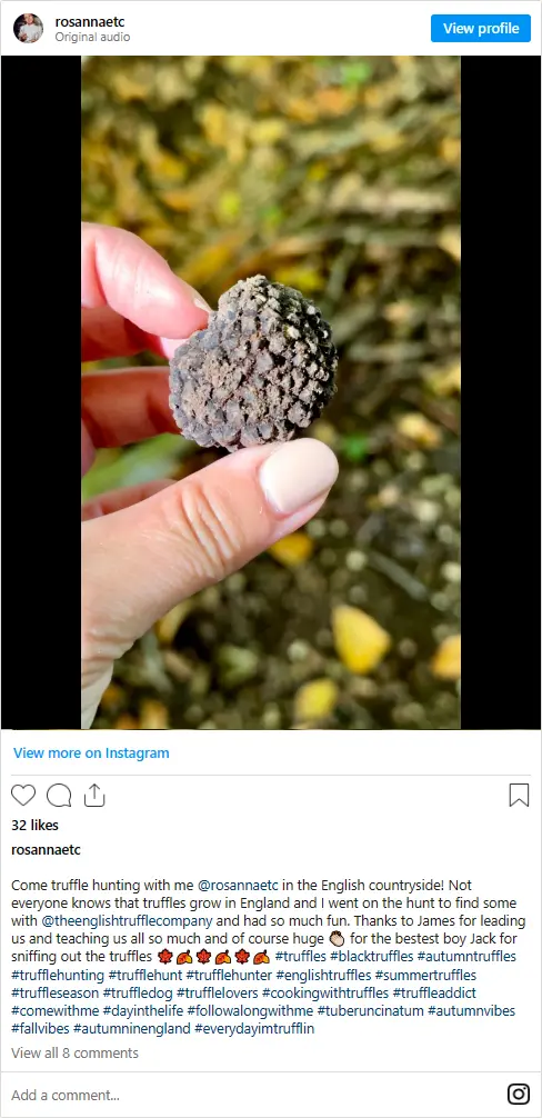 Instagram video of a Wiltshire truffle hunt