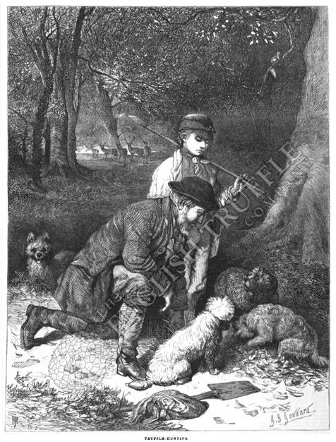 Truffle Hunting – G.B. Goddard (1869)